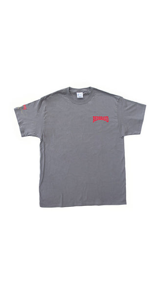 Red Brand Logo T-Shirt in Gray
